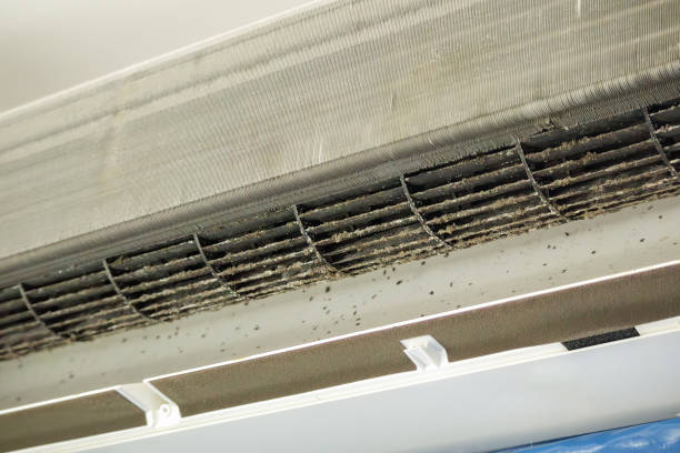 Best HVAC Air Duct Cleaning  in Leilani Estates, HI