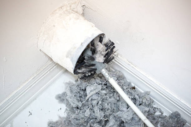 Best Emergency Air Duct Cleaning  in Leilani Estates, HI