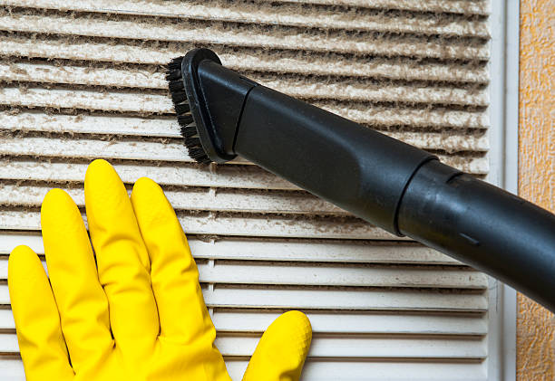 Best Professional Duct Cleaning Services  in Leilani Estates, HI